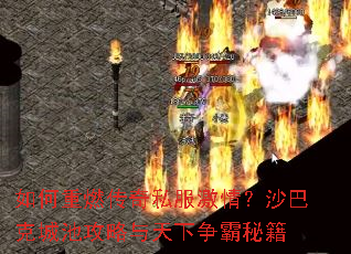 �����ȼ����˽�����飿ɳ�Ϳ˳ǳع��������������ؼ�