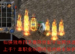 ����������ʥ�޽���������ο������֣���ְҵ�ư��ռ�����ȫ����