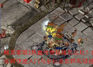 ��������2��Ѫ����˽����ô�棿������ο��������������������Ч���ף�