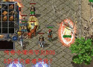 ��������Щ����BOSS�ĳ�Ѩ����Ѱ�ң�