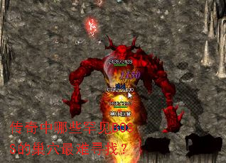 ��������Щ����BOSS�ĳ�Ѩ����Ѱ�ң�