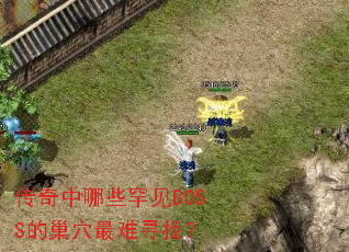 ��������Щ����BOSS�ĳ�Ѩ����Ѱ�ң�