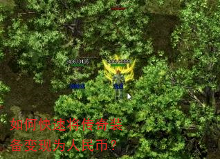 如何快速将传奇装备变现为人民币? 如何快速将传奇装备变现为人民币?