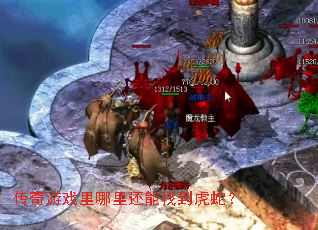 传奇游戏里哪里还能找到虎蛇? 传奇游戏里哪里还能找到虎蛇?