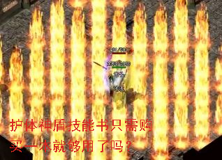 护体神盾技能书只需购买一本就够用了吗? 护体神盾技能书只需购买一本就够用了吗?