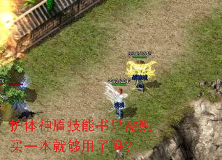 护体神盾技能书只需购买一本就够用了吗? 护体神盾技能书只需购买一本就够用了吗?