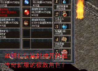 如何打造真封神开热血传奇新服的极致角色? 如何打造真封神开热血传奇新服的极致角色?