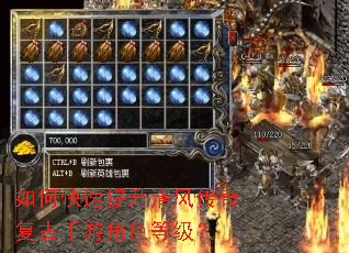 如何快速提升清风传奇复古手游角色等级? 如何快速提升清风传奇复古手游角色等级?