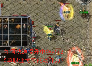 ��ο��������л�v1.20��ְҵ�����ս������