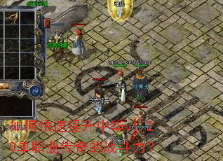 ��ο��������л�v1.20��ְҵ�����ս������