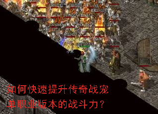 如何快速提升传奇战宠单职业版本的战斗力? 如何快速提升传奇战宠单职业版本的战斗力?