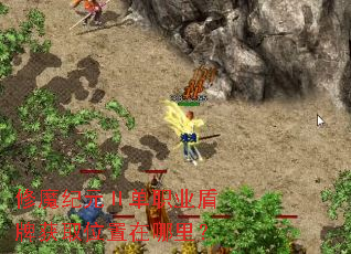 修魔纪元Ⅱ单职业盾牌获取位置在哪里? 修魔纪元Ⅱ单职业盾牌获取位置在哪里?