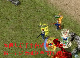 如何从新手小白成长为沙城霸主?逆天征途全攻略解析 如何从新手小白成长为沙城霸主?逆天征途全攻略解析