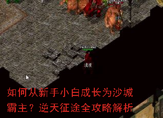 如何从新手小白成长为沙城霸主?逆天征途全攻略解析 如何从新手小白成长为沙城霸主?逆天征途全攻略解析