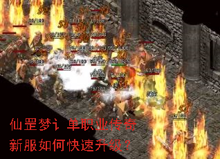 仙罡梦讠单职业传奇新服如何快速升级? 仙罡梦讠单职业传奇新服如何快速升级?