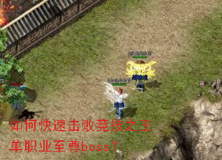 如何快速击败竞技之王单职业至尊boss? 如何快速击败竞技之王单职业至尊boss?