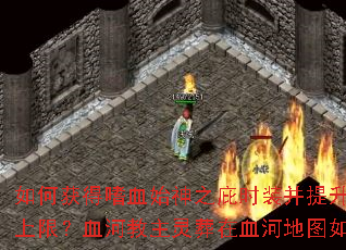 ��λ����Ѫʼ��֮��ʱװ������5%����ֵ���ޣ�Ѫ�ӽ���������Ѫ�ӵ�ͼ��κϳɣ�