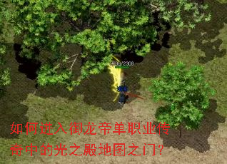 如何进入御龙帝单职业传奇中的光之殿地图之门? 如何进入御龙帝单职业传奇中的光之殿地图之门?