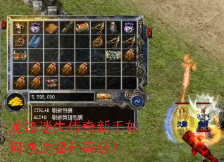 龙缘迷失传奇新手如何快速提升等级? 龙缘迷失传奇新手如何快速提升等级?