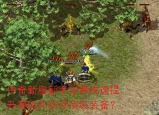 传奇新服新手如何快速提升等级和获取顶级装备? 传奇新服新手如何快速提升等级和获取顶级装备?