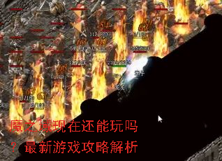 ħ֮�����ڻ�������������Ϸ���Խ���