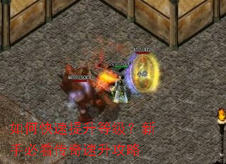 如何快速提升等级?新手必看传奇速升攻略 如何快速提升等级?新手必看传奇速升攻略