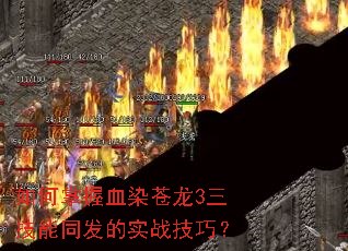 如何掌握血染苍龙3三技能同发的实战技巧? 如何掌握血染苍龙3三技能同发的实战技巧?