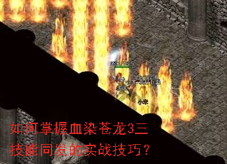 如何掌握血染苍龙3三技能同发的实战技巧? 如何掌握血染苍龙3三技能同发的实战技巧?