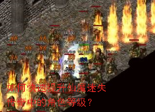 如何快速提升仙魔迷失传奇中的角色等级? 如何快速提升仙魔迷失传奇中的角色等级?