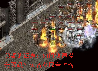 勇者的征途:如何快速提升等级?装备获取全攻略 勇者的征途:如何快速提升等级?装备获取全攻略