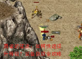 ���ߵ���;����ο��������ȼ���װ����ȡȫ����