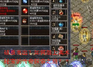 �Ƽ���������̤�ϰ����ر��Ĵ���̽��֮�ã�