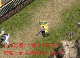 传奇新服123发布网终极攻略?新手如何快速上手? 传奇新服123发布网终极攻略?新手如何快速上手?