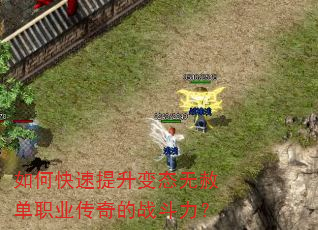 如何快速提升变态无赦单职业传奇的战斗力? 如何快速提升变态无赦单职业传奇的战斗力?