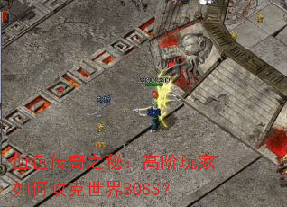 血色传奇之秘:高阶玩家如何攻克世界BOSS? 血色传奇之秘:高阶玩家如何攻克世界BOSS?