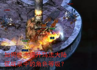 如何快速提升玛法大陆征战录中的角色等级? 如何快速提升玛法大陆征战录中的角色等级?