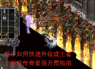 新手如何快速升级成王者?新服传奇最强开荒指南 新手如何快速升级成王者?新服传奇最强开荒指南