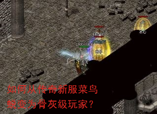 如何从传奇新服菜鸟蜕变为骨灰级玩家? 如何从传奇新服菜鸟蜕变为骨灰级玩家?