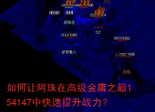 如何让阿珠在高级金庸之巅154147中快速提升战力? 如何让阿珠在高级金庸之巅154147中快速提升战力?