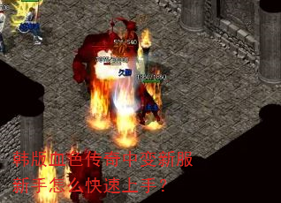韩版血色传奇中变新服新手怎么快速上手? 韩版血色传奇中变新服新手怎么快速上手?