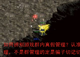 ��α����ϷȺ����ٹ�������׼Ⱥ����������Ⱥ�����Ķ���ƭ���м��мǡ�