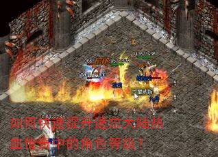如何快速提升遗忘大陆热血传奇中的角色等级? 如何快速提升遗忘大陆热血传奇中的角色等级?