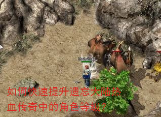 如何快速提升遗忘大陆热血传奇中的角色等级? 如何快速提升遗忘大陆热血传奇中的角色等级?