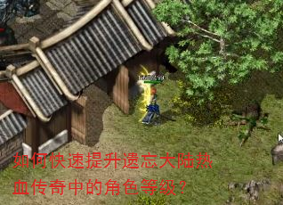 如何快速提升遗忘大陆热血传奇中的角色等级? 如何快速提升遗忘大陆热血传奇中的角色等级?