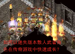 �������ʧ�汾ɢ�����߽�ɫ�ڴ�����Ϸ�п��ٳɳ���