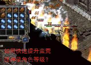 如何快速提升蛮荒搜神录角色等级? 如何快速提升蛮荒搜神录角色等级?