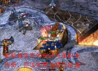 ���³���̬����SF�뵥ְҵ���棬������ѡ���뾫ͨ��