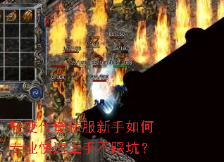��䴫��˽���������רҵ�������ֲ��ȿӣ�