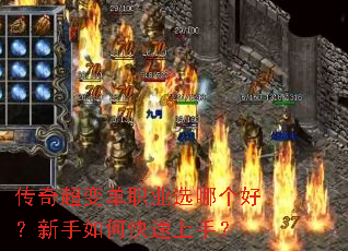 ���泬�䵥ְҵѡ�ĸ��ã�������ο������֣�