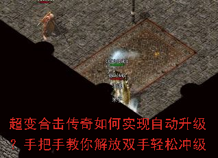 ����ϻ��������ʵ���Զ��������ְ��ֽ�����˫�����ɳ弶